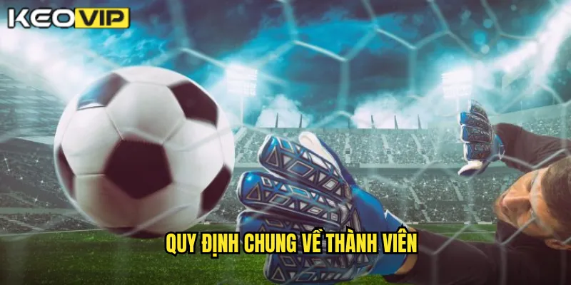 Điều Khoản Điều Kiện kèo nhà cái bg - Quy Định Rõ Ràng Cho Người Soi Kèo 1 Quy định chung về thành viên