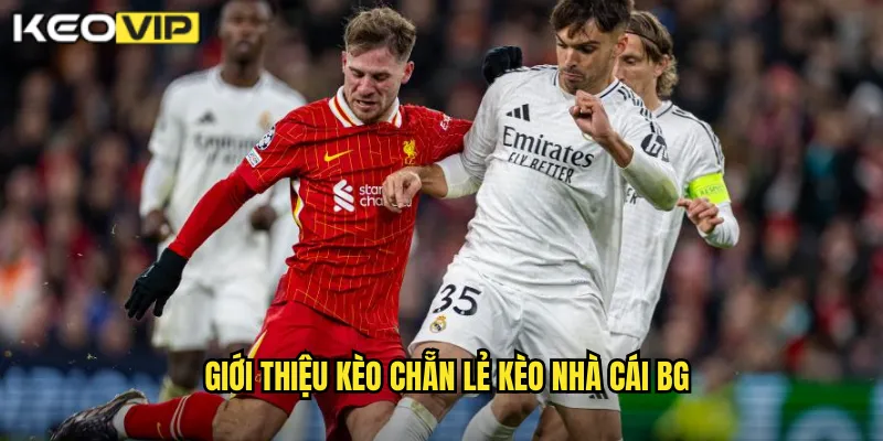 Giới thiệu kèo chẵn lẻ kèo nhà cái bg